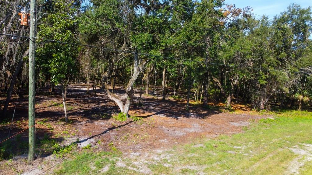 Photo of 14004 Peace Boulevard, Spring Hill, FL 34610 (MLS # TB8416692)