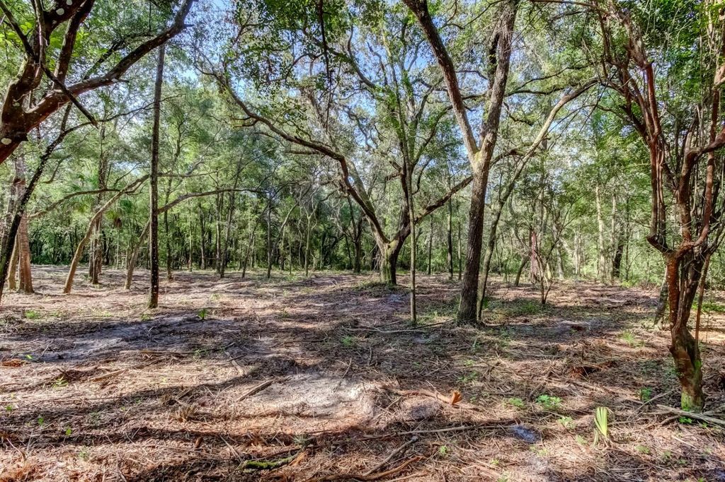 Photo of 14004 Peace Boulevard, Spring Hill, FL 34610 (MLS # TB8416692)