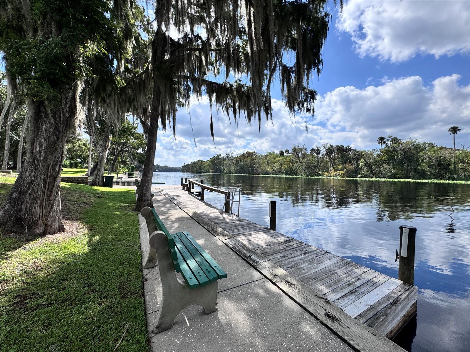 1989 MARSH HEN VILLAGE