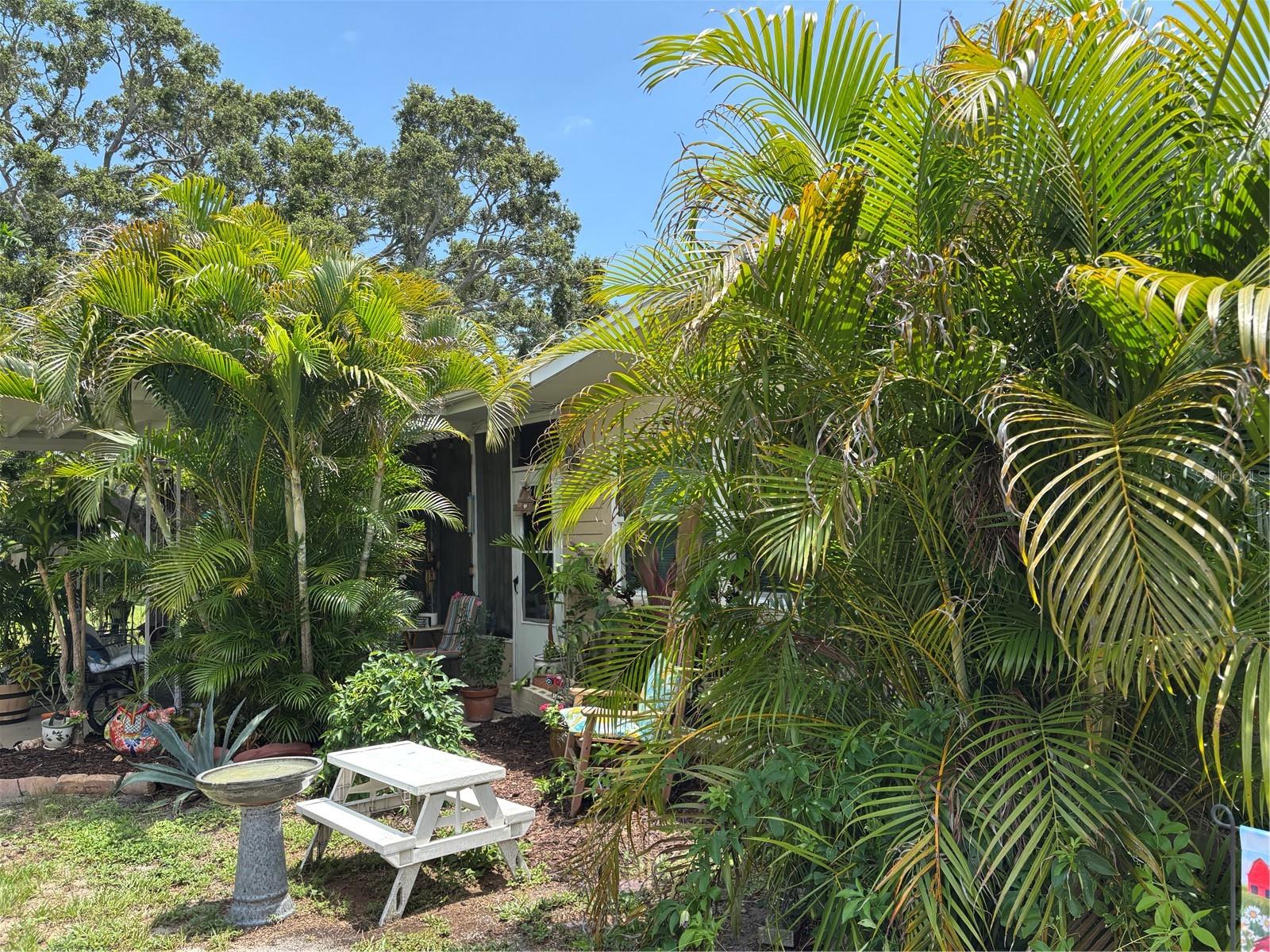 1591 HAVANA DRIVE