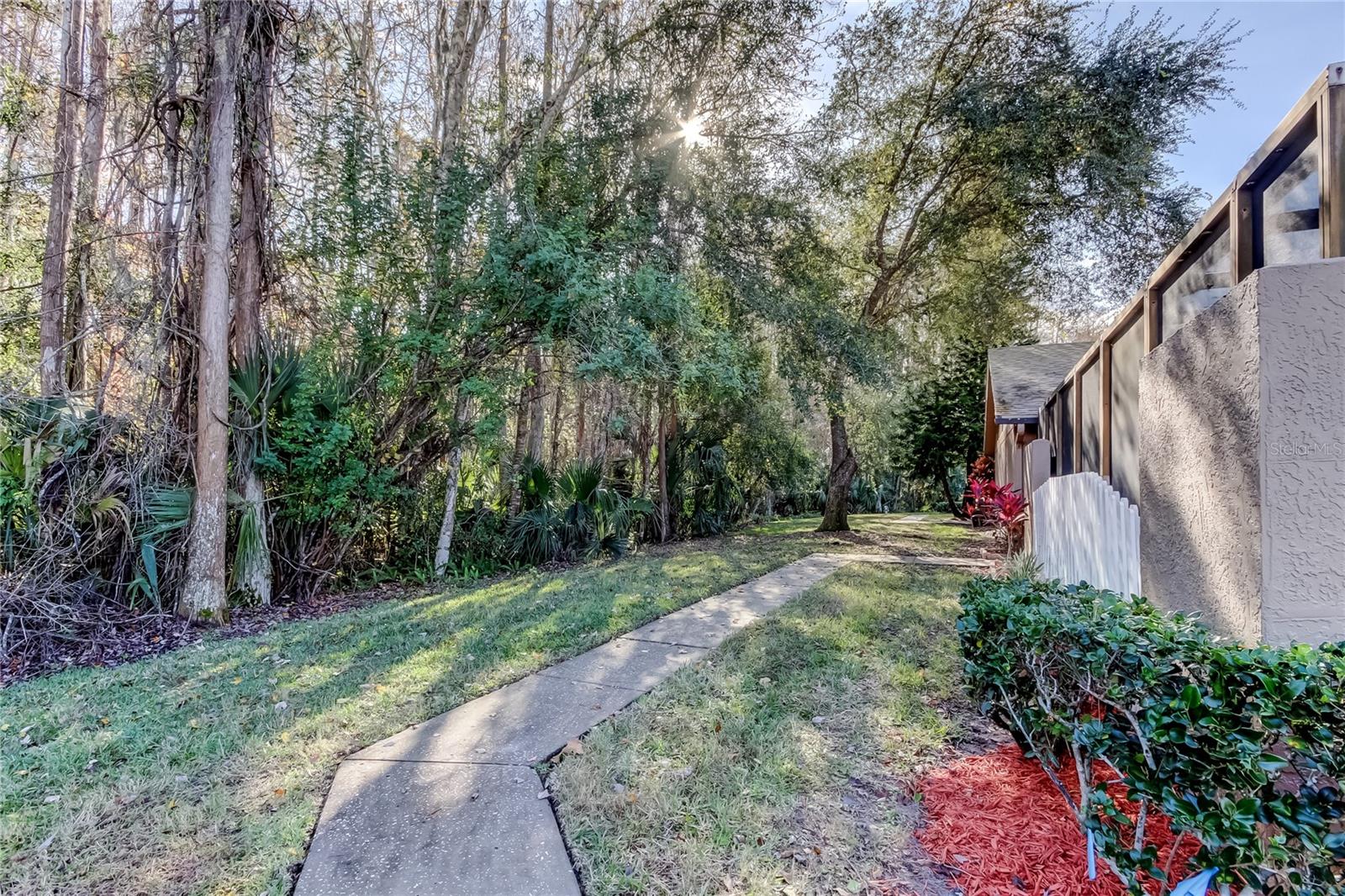 PINE RIDGE AT LAKE TARPON VILLAGE - Residential