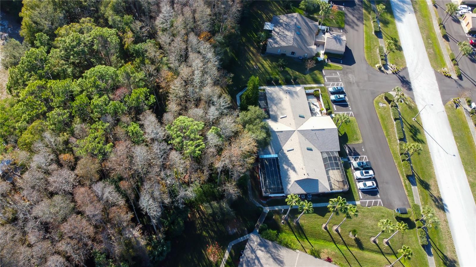 PINE RIDGE AT LAKE TARPON VILLAGE - Residential