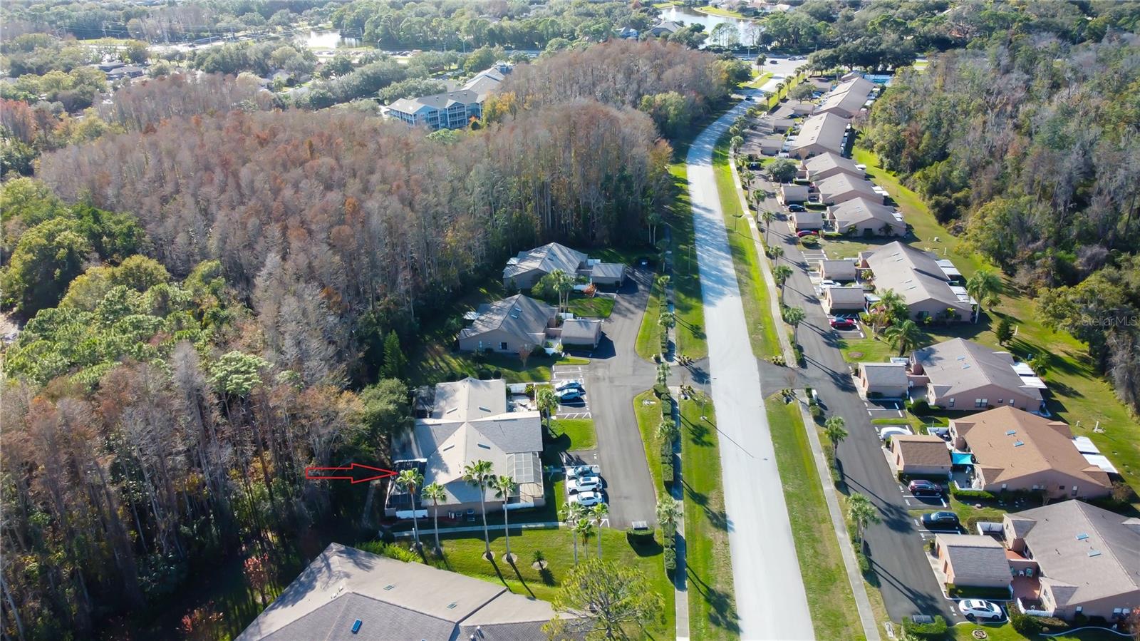 PINE RIDGE AT LAKE TARPON VILLAGE - Residential