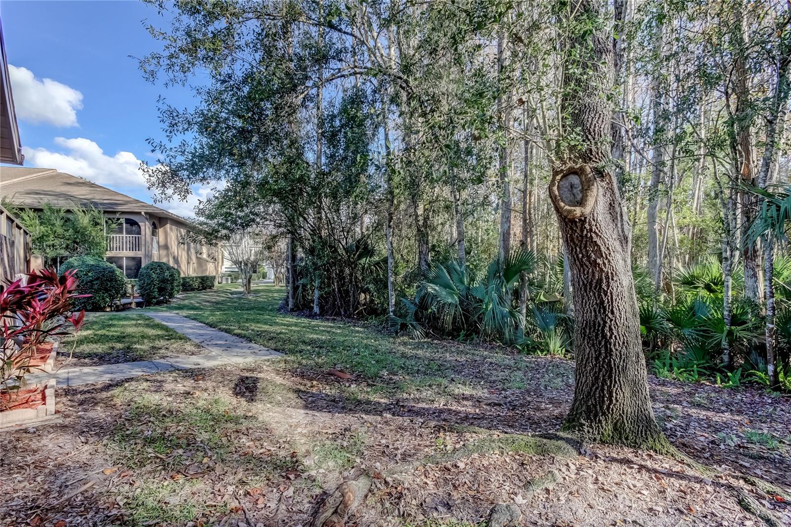 PINE RIDGE AT LAKE TARPON VILLAGE - Residential
