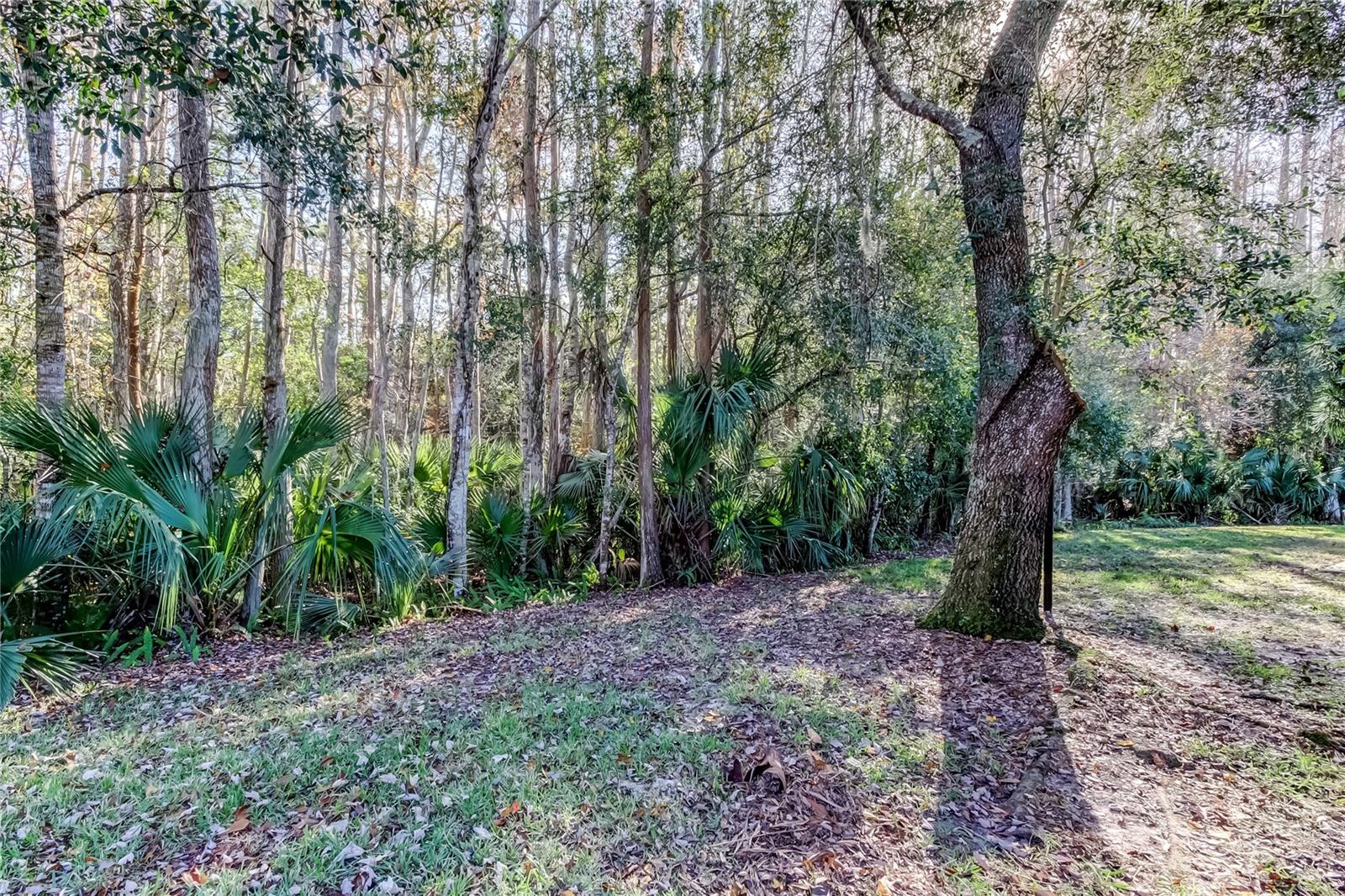 PINE RIDGE AT LAKE TARPON VILLAGE - Residential