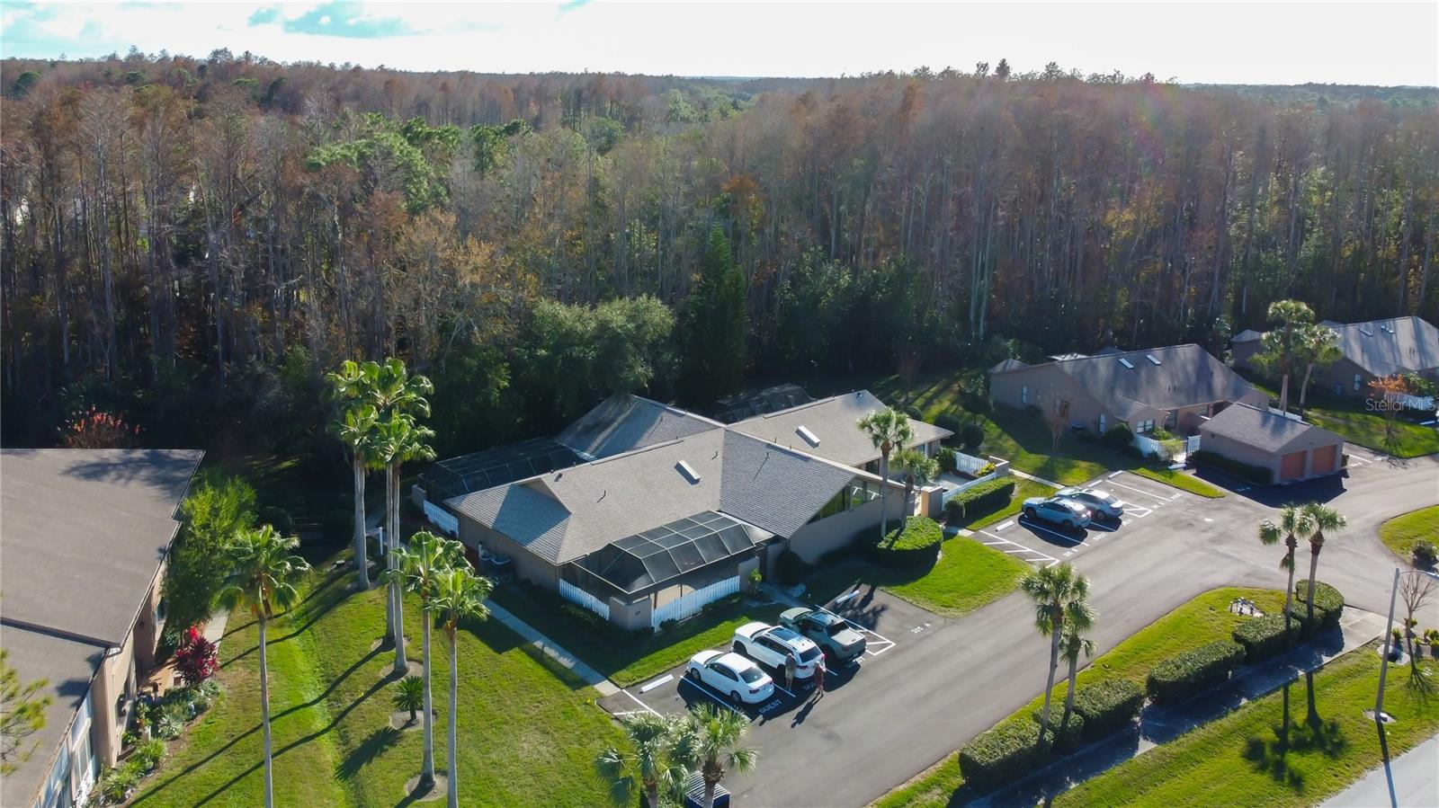 PINE RIDGE AT LAKE TARPON VILLAGE - Residential