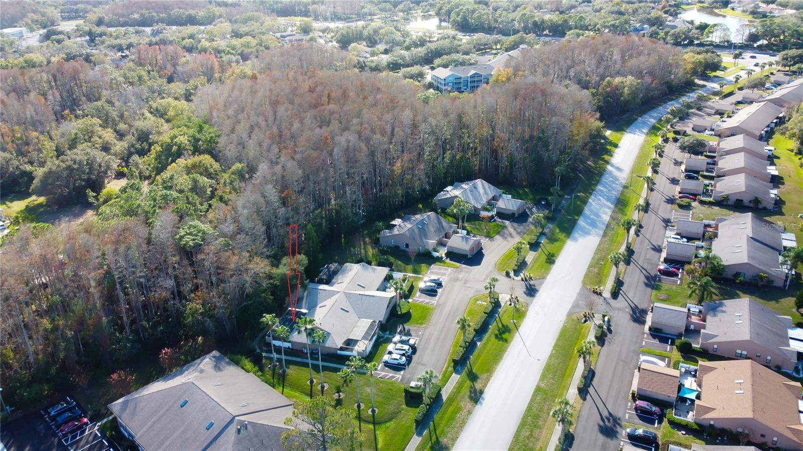 PINE RIDGE AT LAKE TARPON VILLAGE - Residential