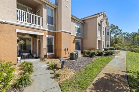10405 VILLA VIEW CIRCLE 10405 TAMPA FL 33647