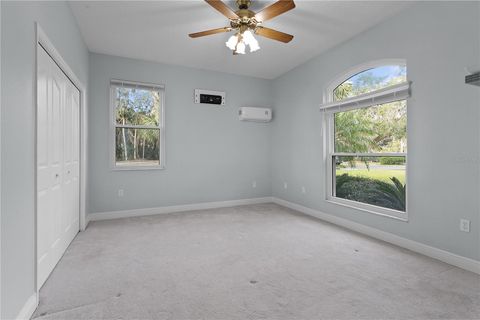 A home in FRUITLAND PARK