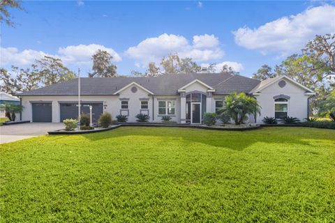 A home in FRUITLAND PARK