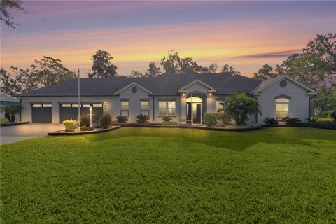 A home in FRUITLAND PARK