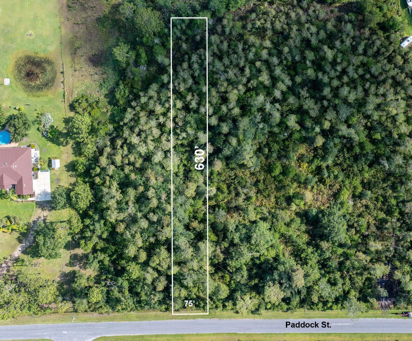1.08 unimproved land - heavily wooded parcel - walk to Wedgefiled School!