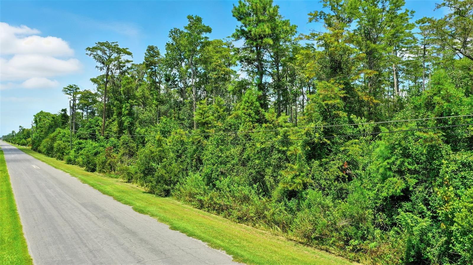 1.08 unimproved land - heavily wooded parcel - walk to Wedgefiled School!