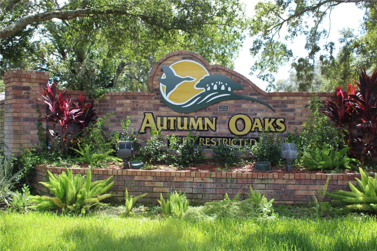 Fractional Ownership. Ready to build your dream home? This conveniently located 1/2 acre lot is available now. Located in a beautiful neighborhood close to the Suncoast Parkway (589) which will give you quick access to Tampa and the airport and the Nature Coast north of this area. Also close to US 19 and many restaurants and shopping areas.
