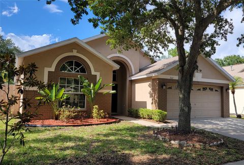 A home in APOLLO BEACH