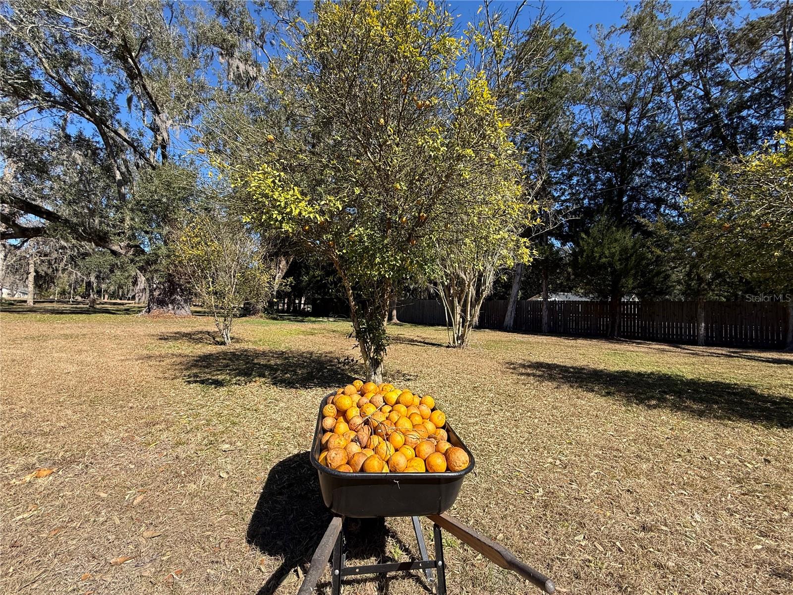 LANCASTER ESTATES - Residential