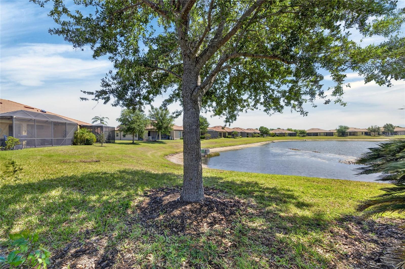 SOUTHSHORE FALLS PH 3E- PRCL - Residential