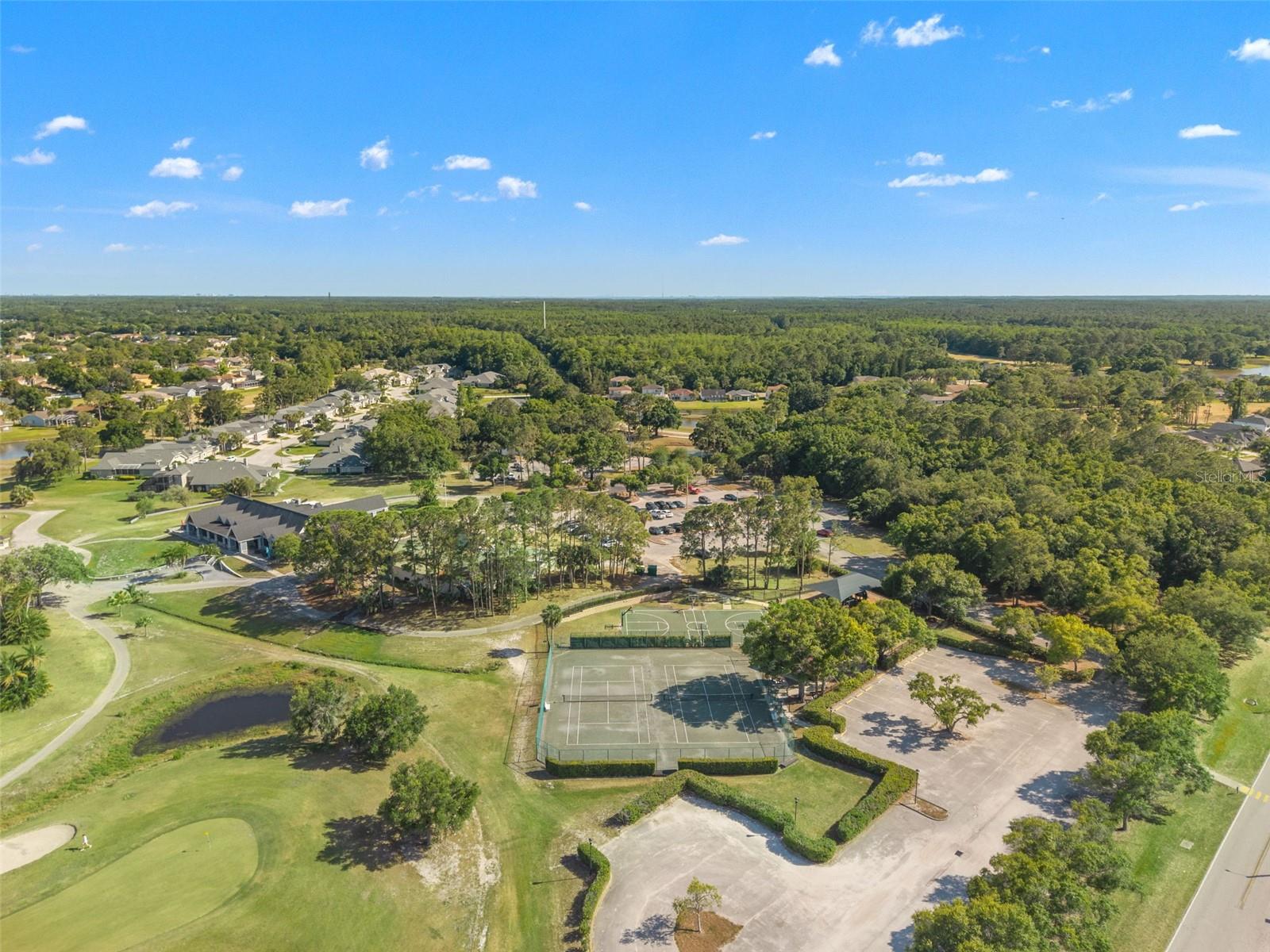NINE EAGLES UNIT ONE SEC I - Residential