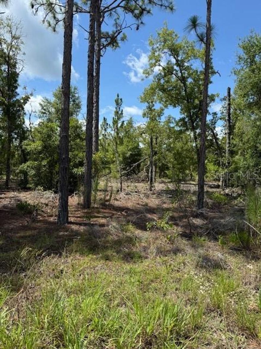 113 South Dakota St lot has 3 continuous lots for sale as one package for only $22,000, making is property 160' x 110" which is just under one-half acre. Great Investment, zoned R-2, multiple family.