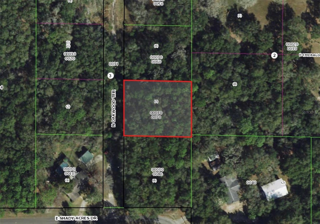 Photo of 177 N Oakwood Terrace, Inverness, FL 34453 (MLS # OM731436)