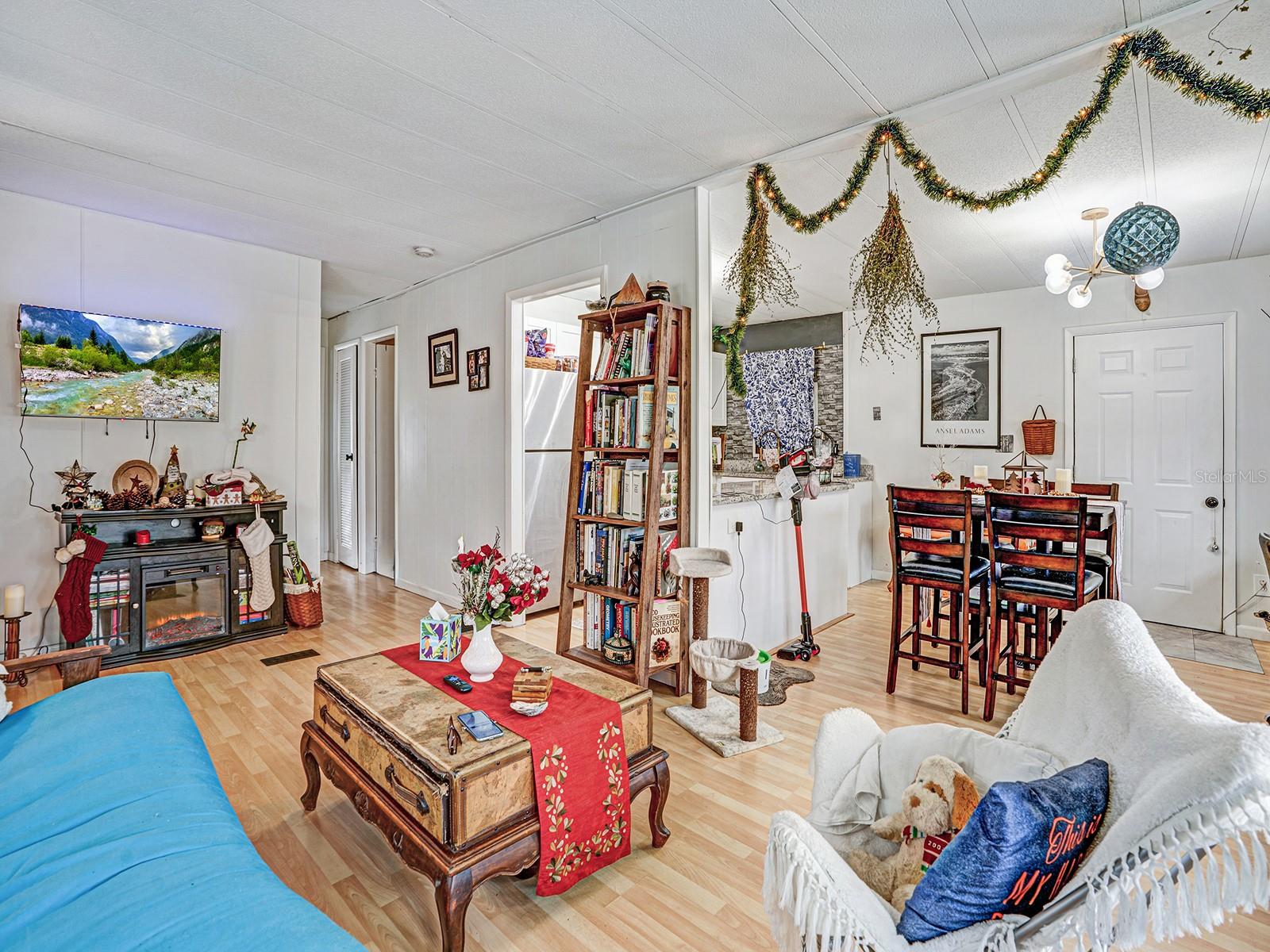 BUENA VISTA MANOR - Residential