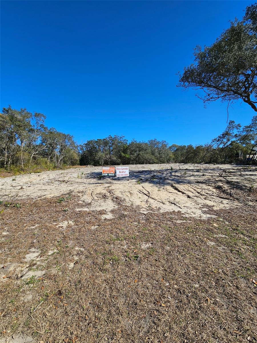 MARION OAKS UN 01 - Land