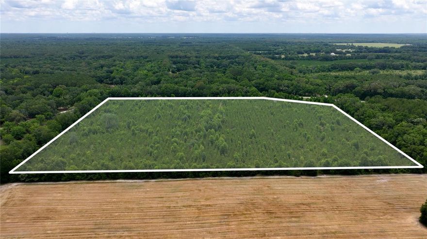 Here is you chance to own over 30 acres of wooded paradise. Parcel consists of hardwoods and planted pines.