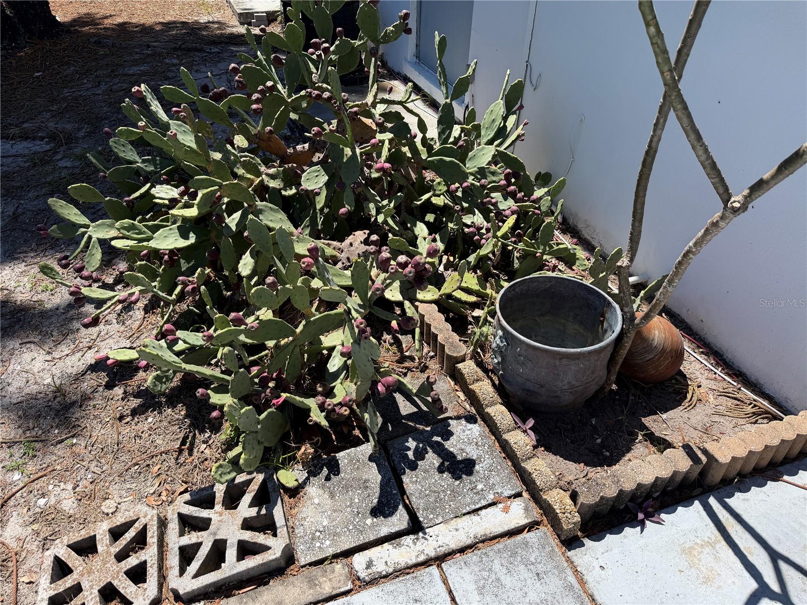 DREW RIDGE APTS CO-OP - Residential