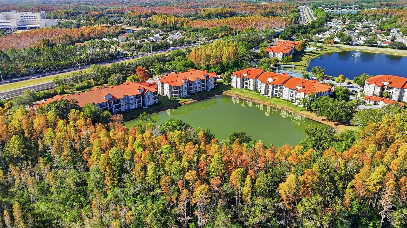 LAKEVIEW AT CALUSA TRACE - Residential