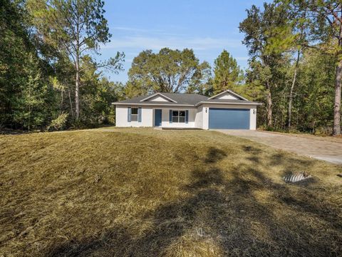 Photo of 11790 Orange Road, Ocklawaha, FL 32179 (MLS # S5139643)