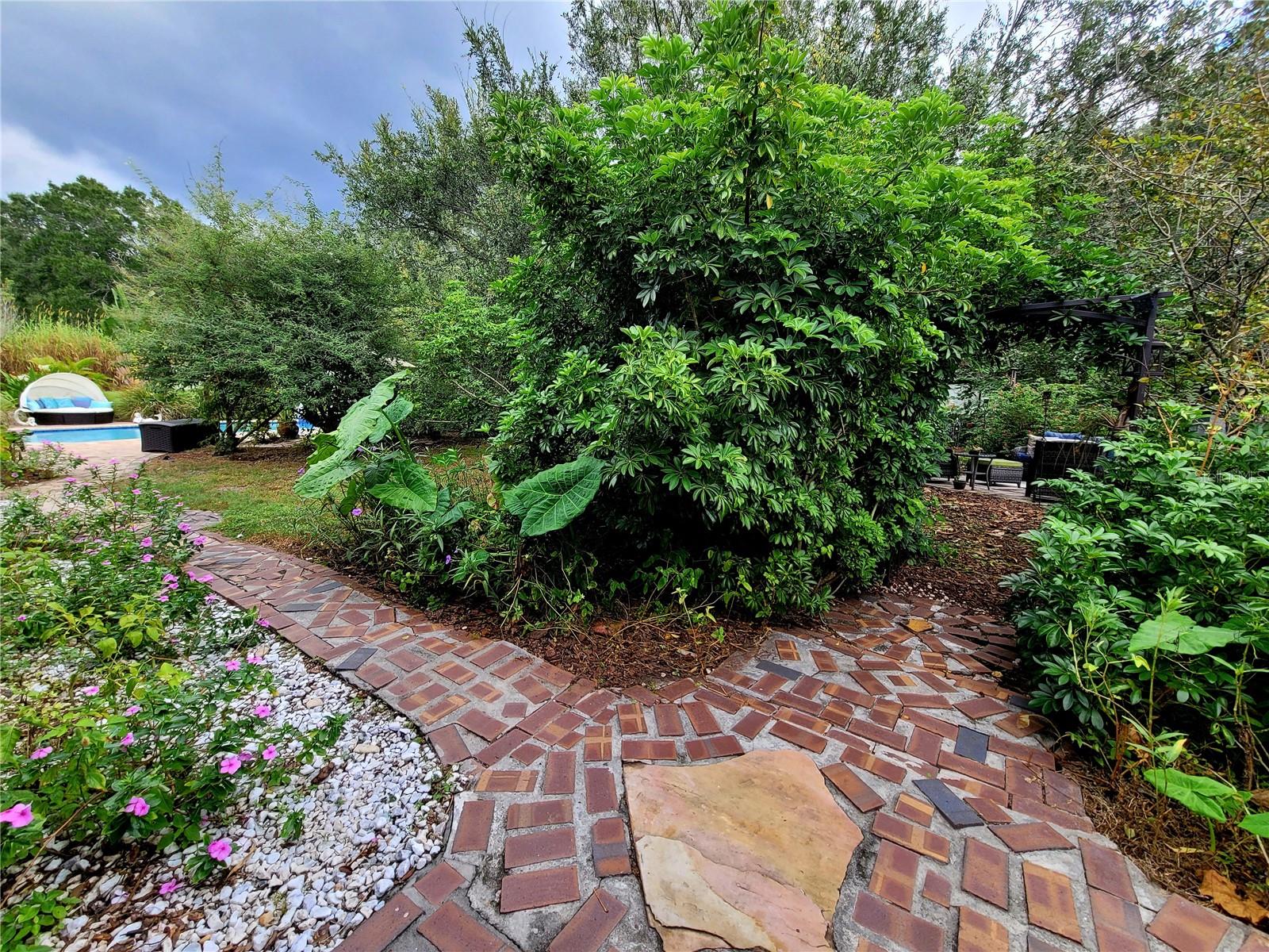 INDIAN HILLS - Residential