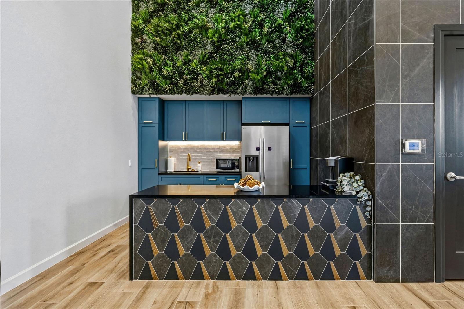 WELLNESS RIDGE - Residential