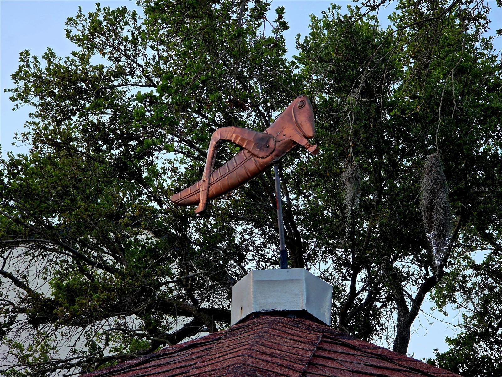 EXCELSIOR BEACH TO BAY - Residential