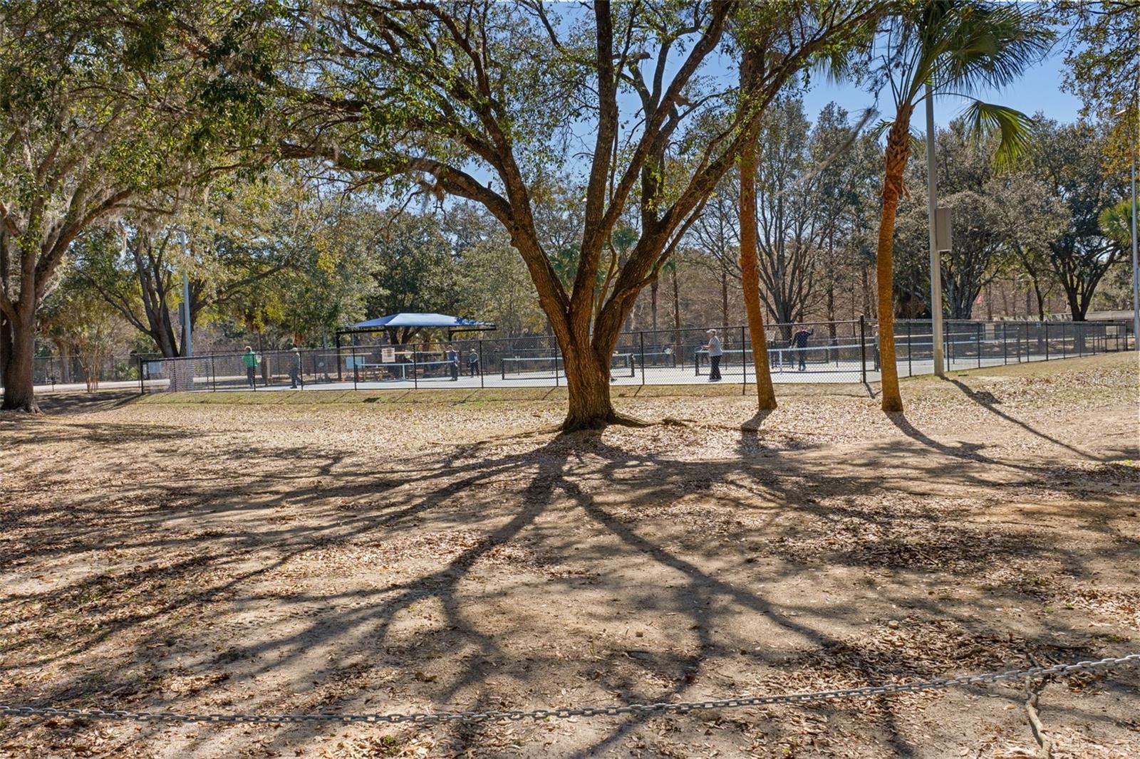 PARKSIDE VILLAGE - Residential