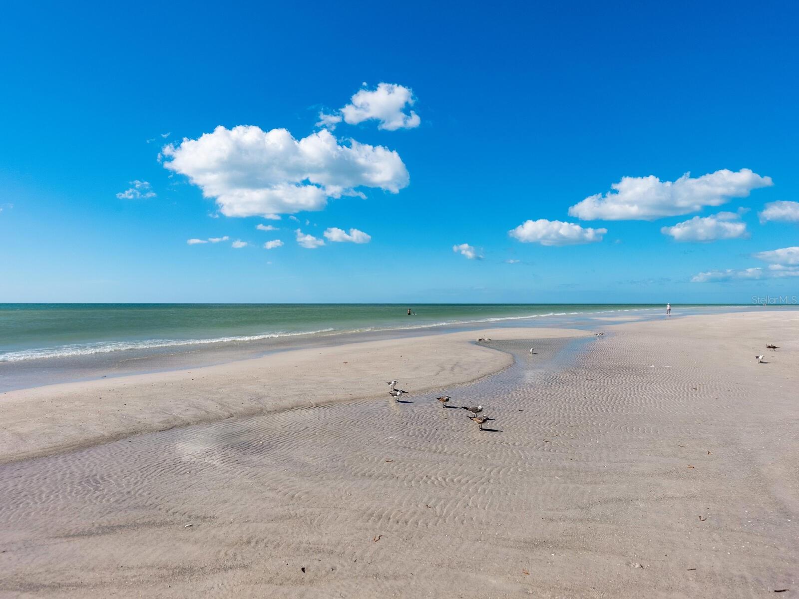 TERRACE - Residential