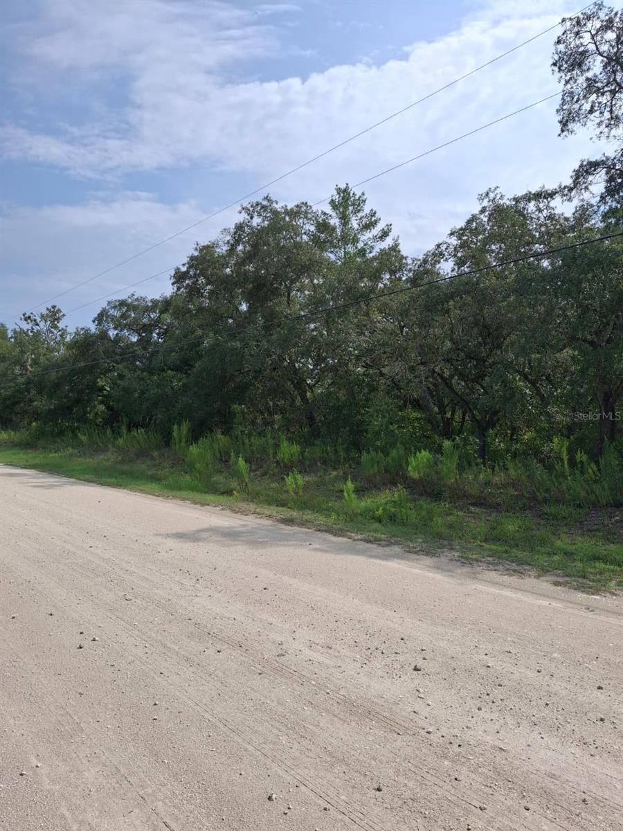 Photo of 18364 Parakeet Road, Weeki Wachee, FL 34614 (MLS # TB8533725)