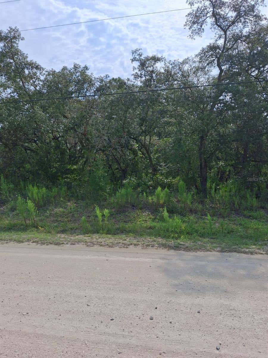 Photo of 18364 Parakeet Road, Weeki Wachee, FL 34614 (MLS # TB8533725)