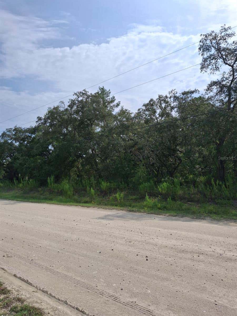 Photo of 18364 Parakeet Road, Weeki Wachee, FL 34614 (MLS # TB8533725)