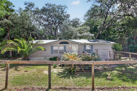 Photo of 17285 SE 248th Terrace, Umatilla, FL 32784 (MLS # G5111347)