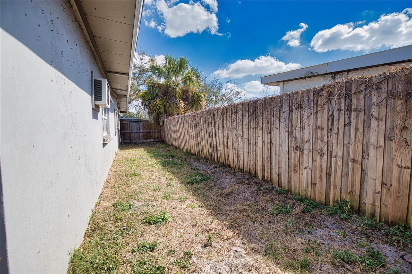 KENSINGTON PARK - Residential