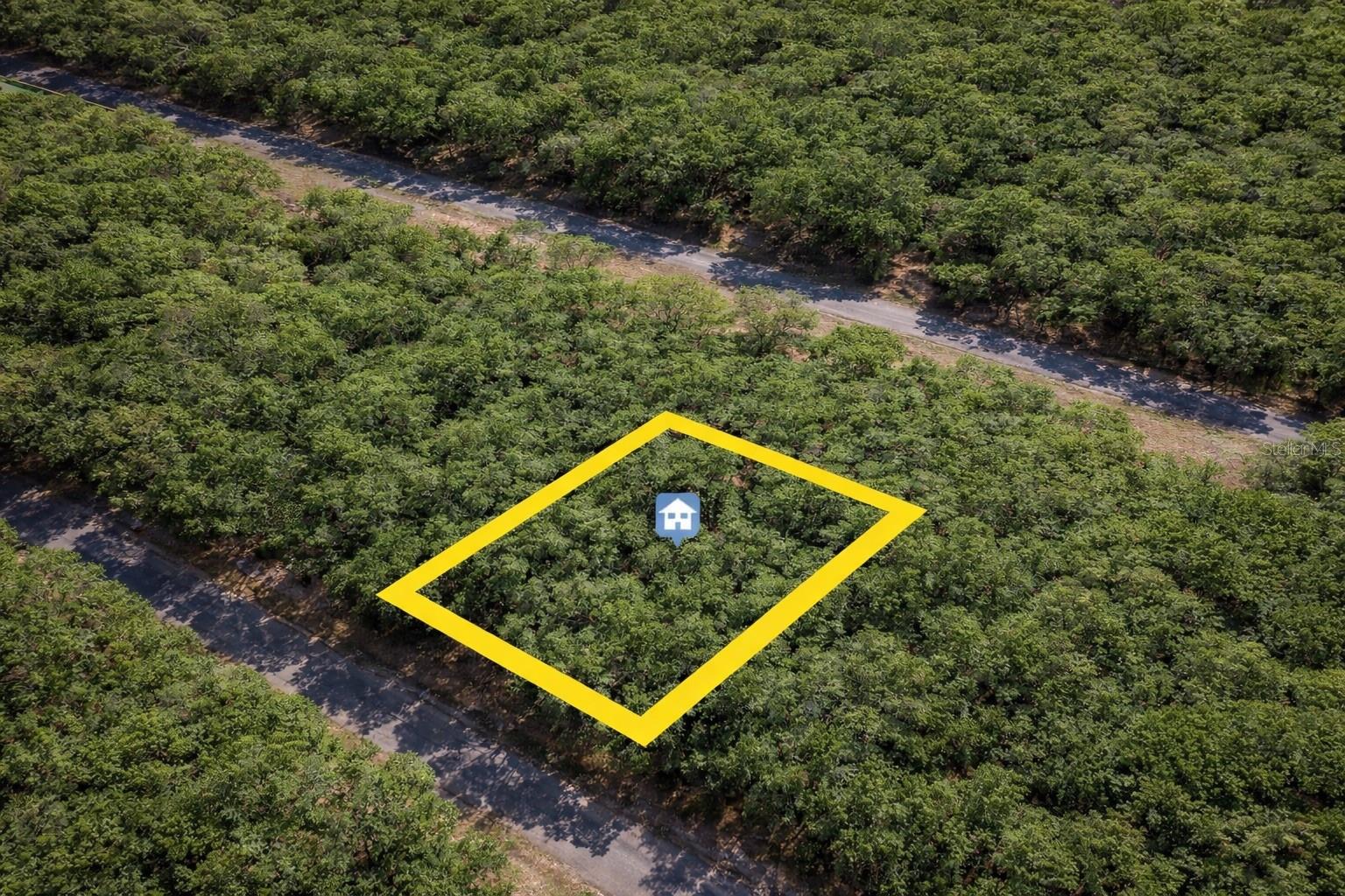 CITRUS SPGS UNIT 17 - Land