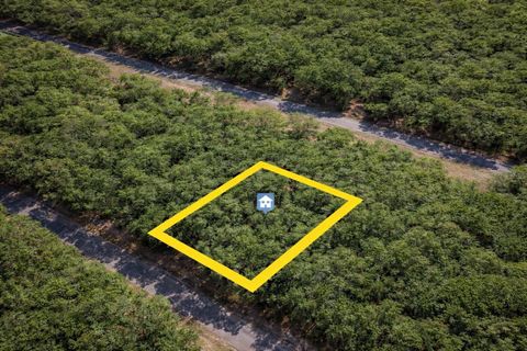 1628 E BADGER DRIVE DUNNELLON FL 34434