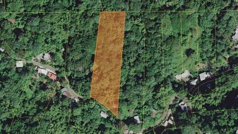 PR-354 KM 6.4 MARINI COMMUNITY - QUEMADO WARD MAYAGUEZ  00680