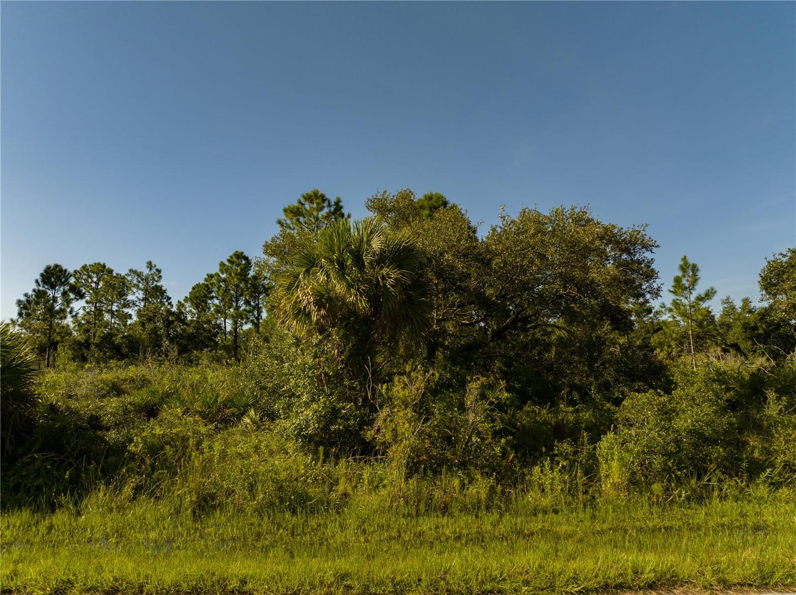 PORT CHARLOTTE SEC 49 - Land