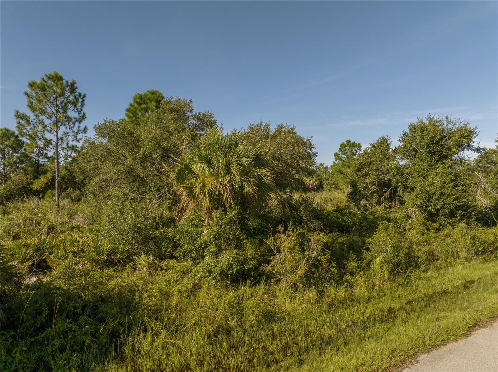 PORT CHARLOTTE SEC 49 - Land