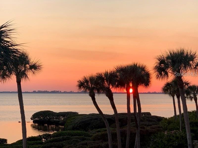 THE VISTAS AT WILD OAK BAY V - Residential Lease