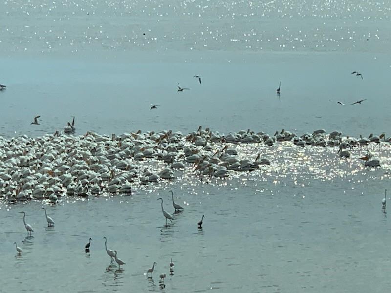 THE VISTAS AT WILD OAK BAY V - Residential Lease