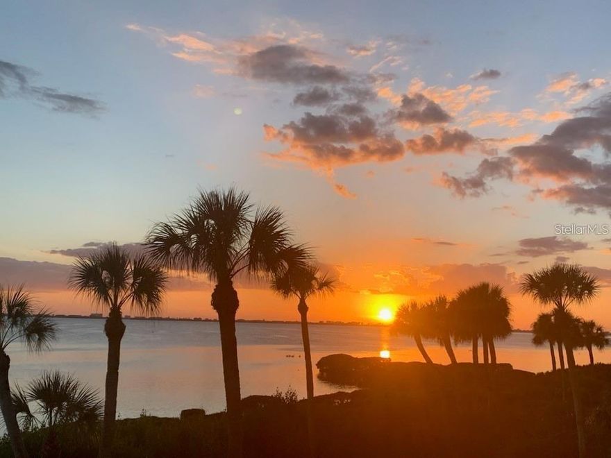 WILD OAK BAY welcomes you to your next vacation destination. NEW to the rental market is this second floor condo overlooking SARASOTA BAY. If you enjoy a spectacular sunset in the evenings then this is the right location for you. This condo features 2 bedrooms, 2 bathrooms, large Florida room with dinette and additional pull out hide a bed an open floor plan and a living room/ dining area combination. The family room, Florida room, kitchen and Master bedroom all have spectacular views of Sarasota Bay. The kitchen is well equipped with everything you need to make your stay enjoyable including an eat in breakfast bar. Once you arrive at Wild Oak Bay you will think you are in paradise, the entire community is spectacularly landscaped and tropical in nature. Enjoy a day at the beach then relax by the pool and spa when you get back to your unit. Conveniently located off of El Conquistador Parkway and within minuets to IMG Academy, golfing, shopping, fine dining and so much more. Contact us for all the details