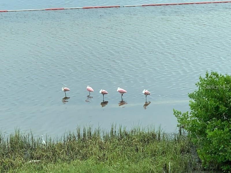 THE VISTAS AT WILD OAK BAY V - Residential Lease