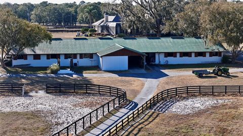 Tiny photo for 2153 SE Highway 41, Morriston, FL 32668 (MLS # OM691158)